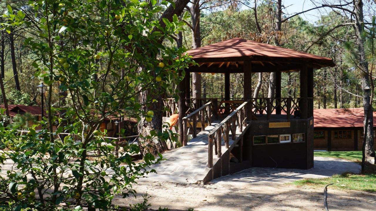 Rincón Del Bosque