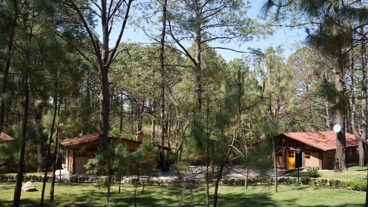 Rincón Del Bosque Hotel